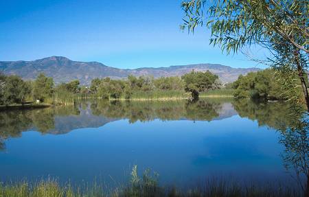Dead Horse Ranch State Park Lagoon