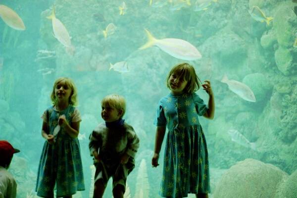 Kinder im 
Tampa Aquarium