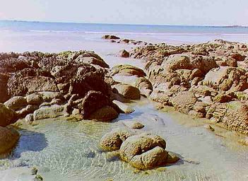Carnac - runde Strandsteine