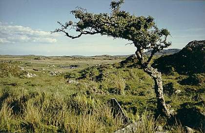 Connemara-Landschaft