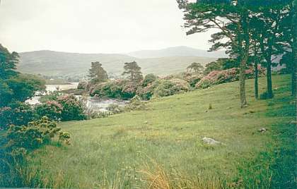 Leenane